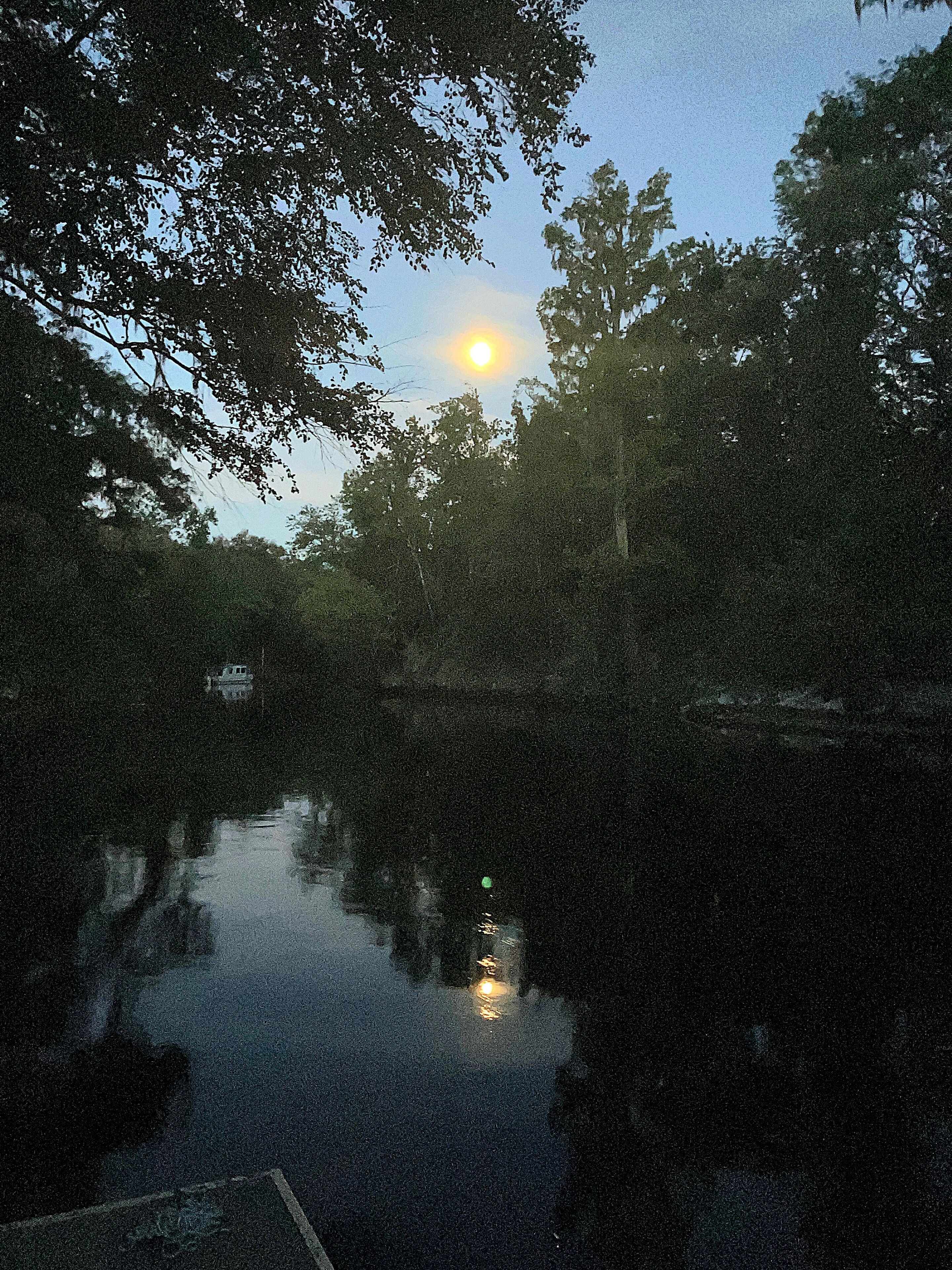 A nighttime scene with a full moon reflecting on a body of water, surrounded by trees.