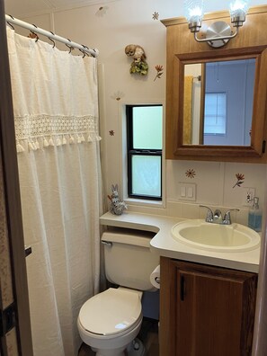 Shower, towels, soap, toilet paper