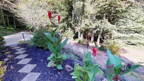 A garden pathway with stepping stones, surrounded by various plants and trees. - Brookside Cottage In Hocking Hills (Rockbridge)