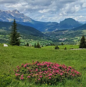 Miscellaneous - Comfortable T2 gite near resort (Dévoluy)