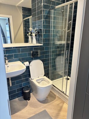 Douche, sèche-cheveux, serviettes fournies, papier toilette