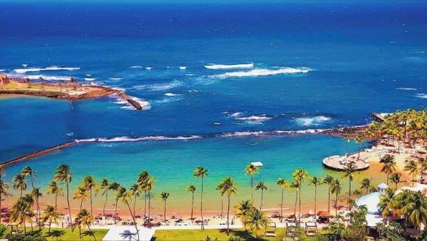 Una località balneare con spiaggia, palme e vista sull'oceano.