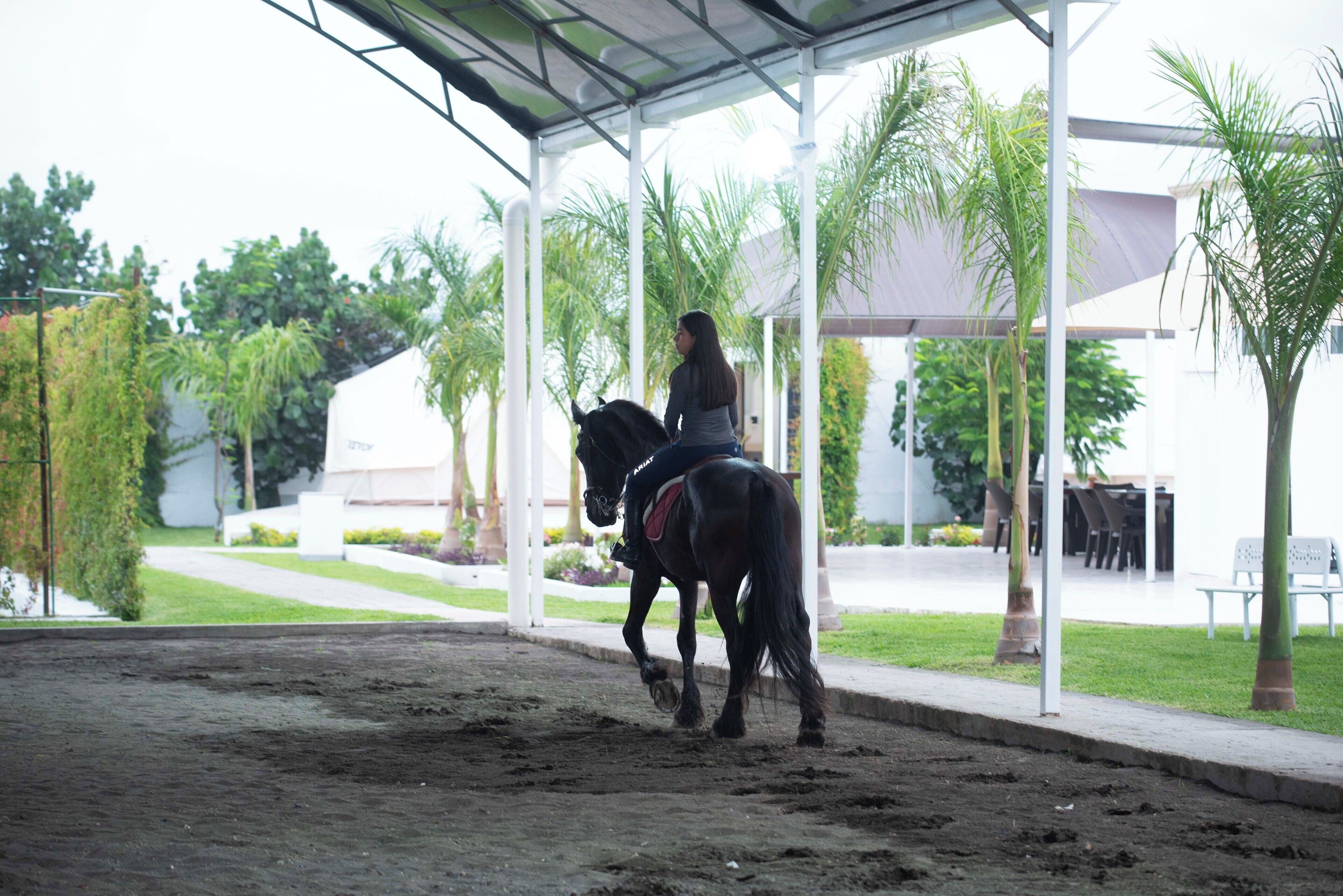 Een overdekt buitenterrein voor paardrijden, met een ruiter en paard, omringd door groen en een gebouw op de achtergrond.