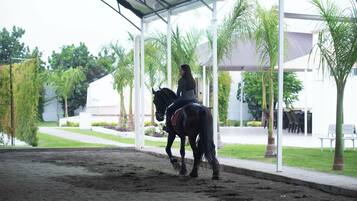 Een overdekt buitenterrein voor paardrijden, met een ruiter en paard, omringd door groen en een gebouw op de achtergrond.