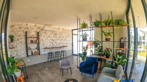 Una habitación amplia con suelo de hormigón, un sofá azul, un sillón gris, una mesita redonda y una estantería con plantas.