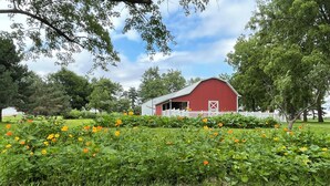 A red barn with a white fence, surrounded by lush greenery and orange flowers. - The Little Red Barn (Cedar Falls)
