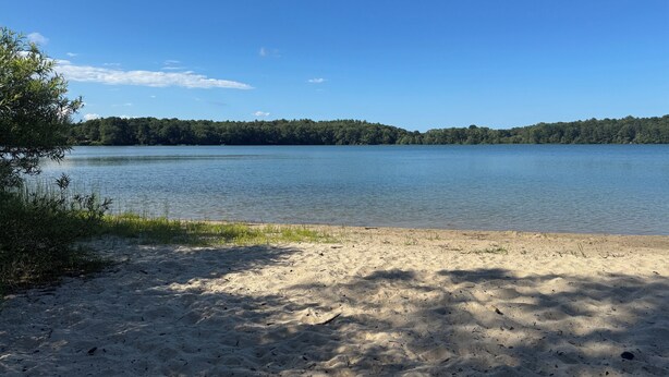 Ein Sandstrand mit einem ruhigen See und einer bewaldeten Hügelkette im Hintergrund.