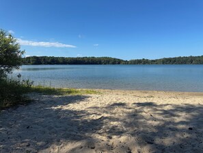 A sandy beach with a calm lake and a forested hill in the background.