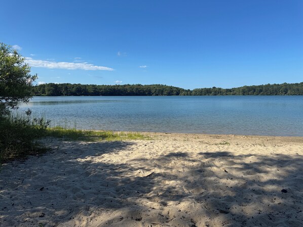 Sun-loungers - Charming 3-bedroom house in lovely Barnstable (Barnstable)