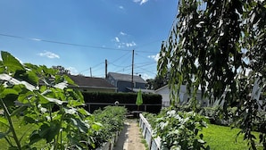 Ein Gartenpfad mit Holzwegen und einem Kiesweg.