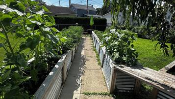 Enceinte de l’hébergement