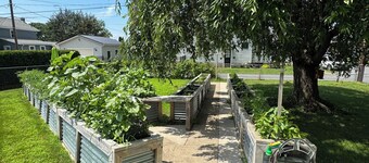 The Garden House - Renovated 2BR - Walk to LLWS