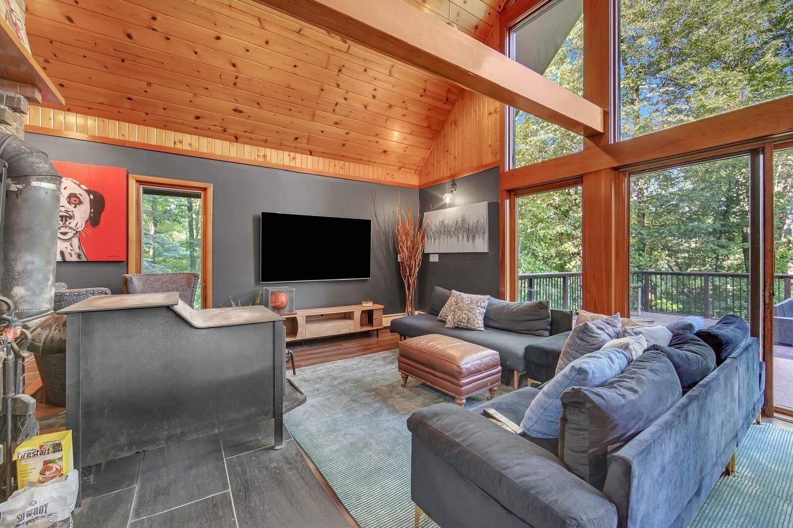 TV, fireplace, table tennis