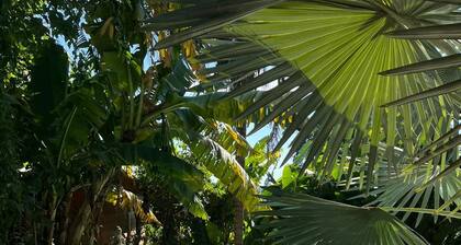 Botanica The House Experience