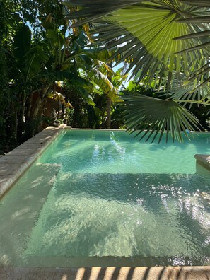 Una piscina cristallina immersa in una rigogliosa vegetazione tropicale.