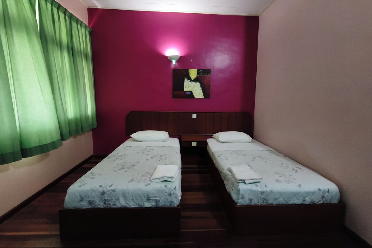 A room with two single beds, a green curtain, a wall-mounted light, and a painting.