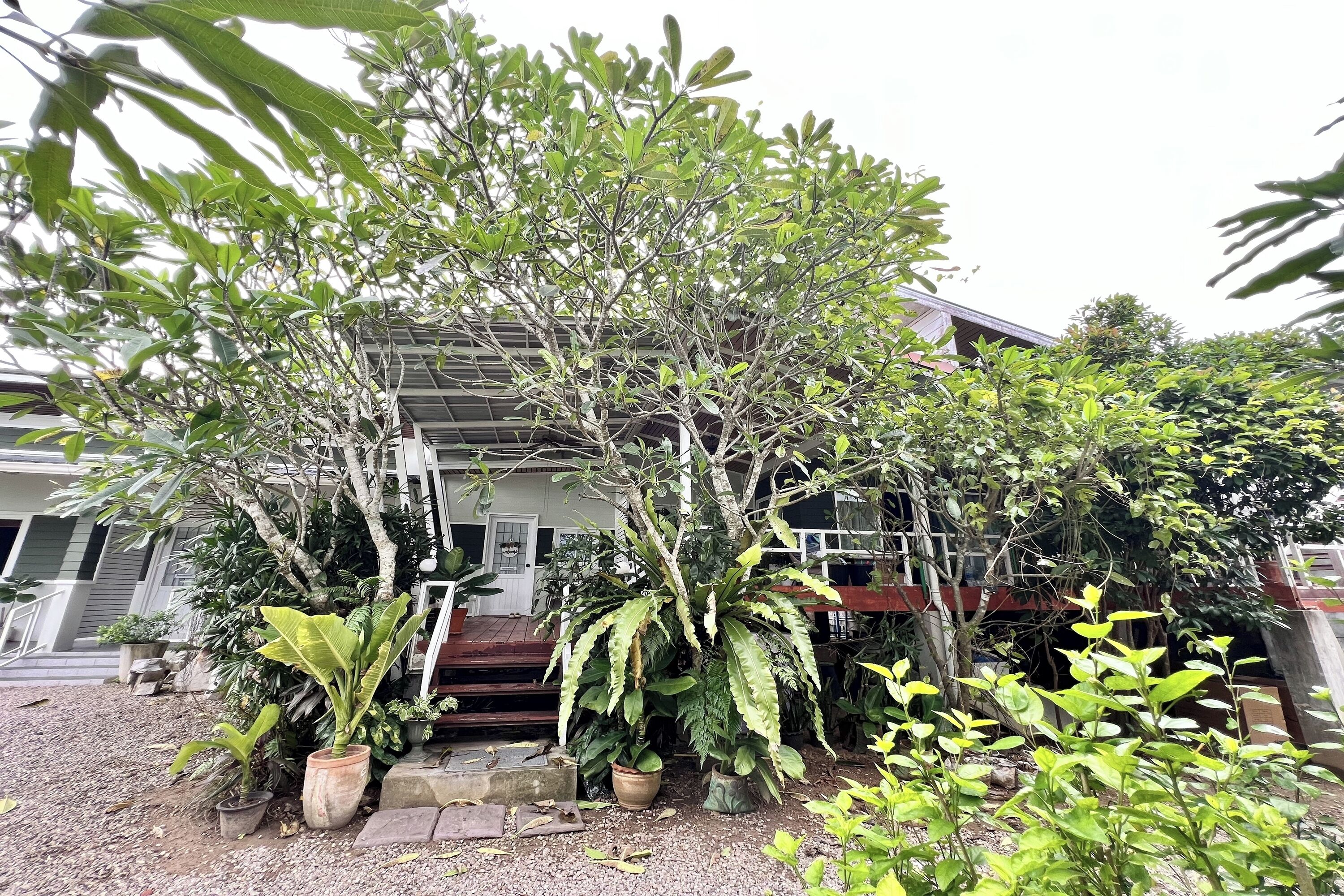 Una casa con porche cubierto, rodeada de macetas con plantas y árboles.