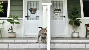 A cat on the steps of a house with two doors, each with a 'welcome' sign and a potted plant. - Bann Kam B&B (Krabi)