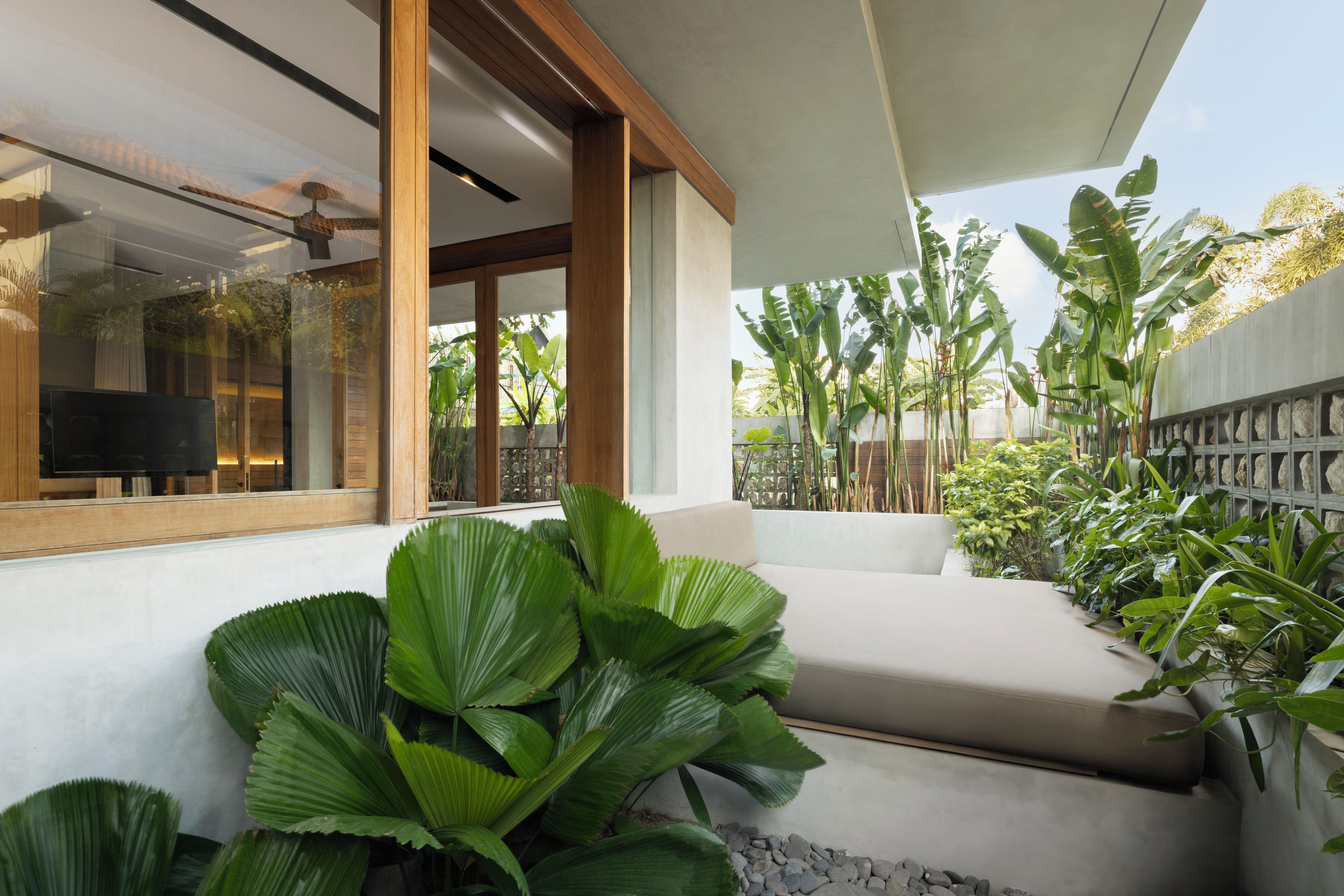 Un espacio al aire libre moderno con un sofá y plantas verdes grandes.