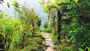 A stone pathway through a lush garden with various plants and flowers. - The Link Farmstay (Sa Pa)