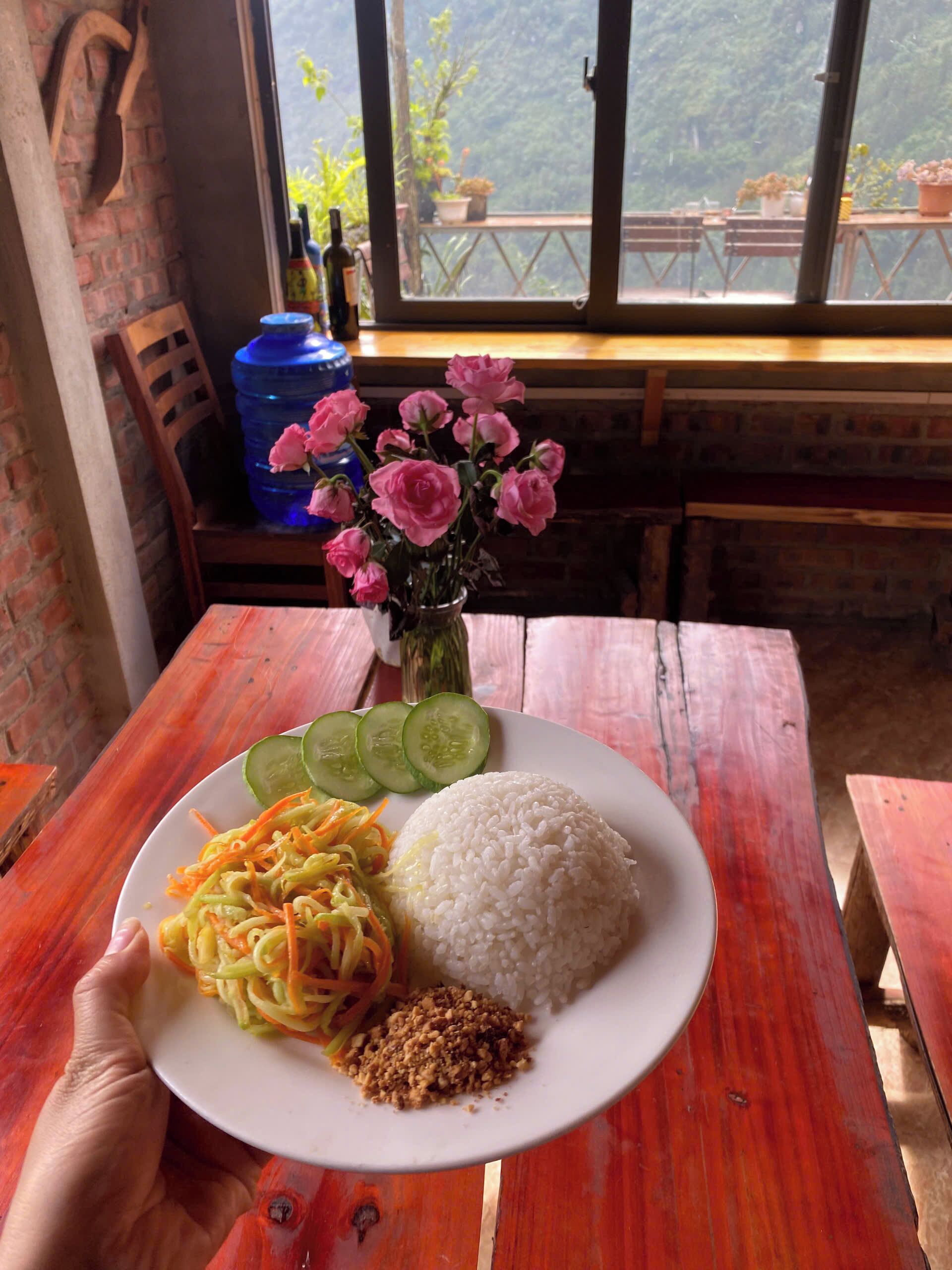 A plate with rice, cucumber slices, and a vegetable dish, held by a hand.