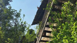A staircase leading up to a building surrounded by dense greenery. - The Link Farmstay (Sa Pa)