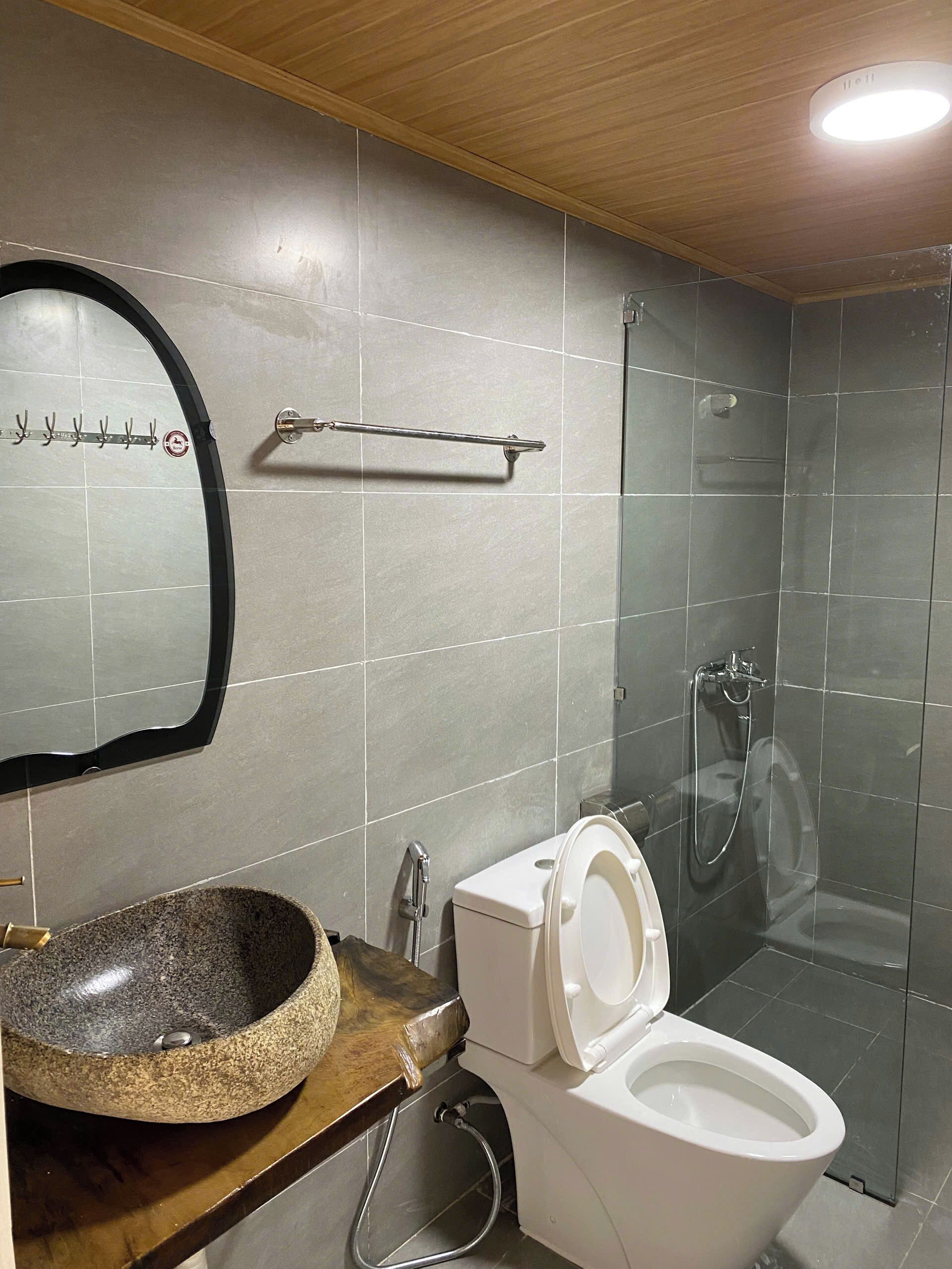 A modern bathroom with a stone sink, a toilet, a shower enclosure, and a mirror with a towel rack.