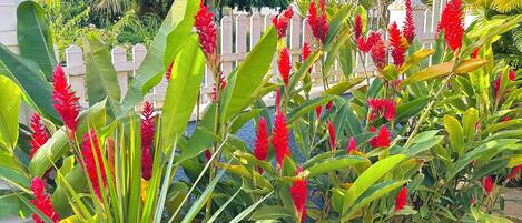 Àrea exterior de l'allotjament