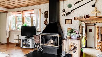 Télévision, cheminée