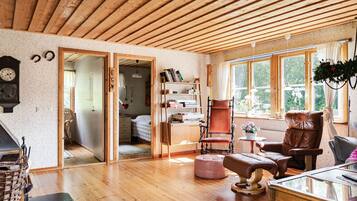 Una televisión, una chimenea