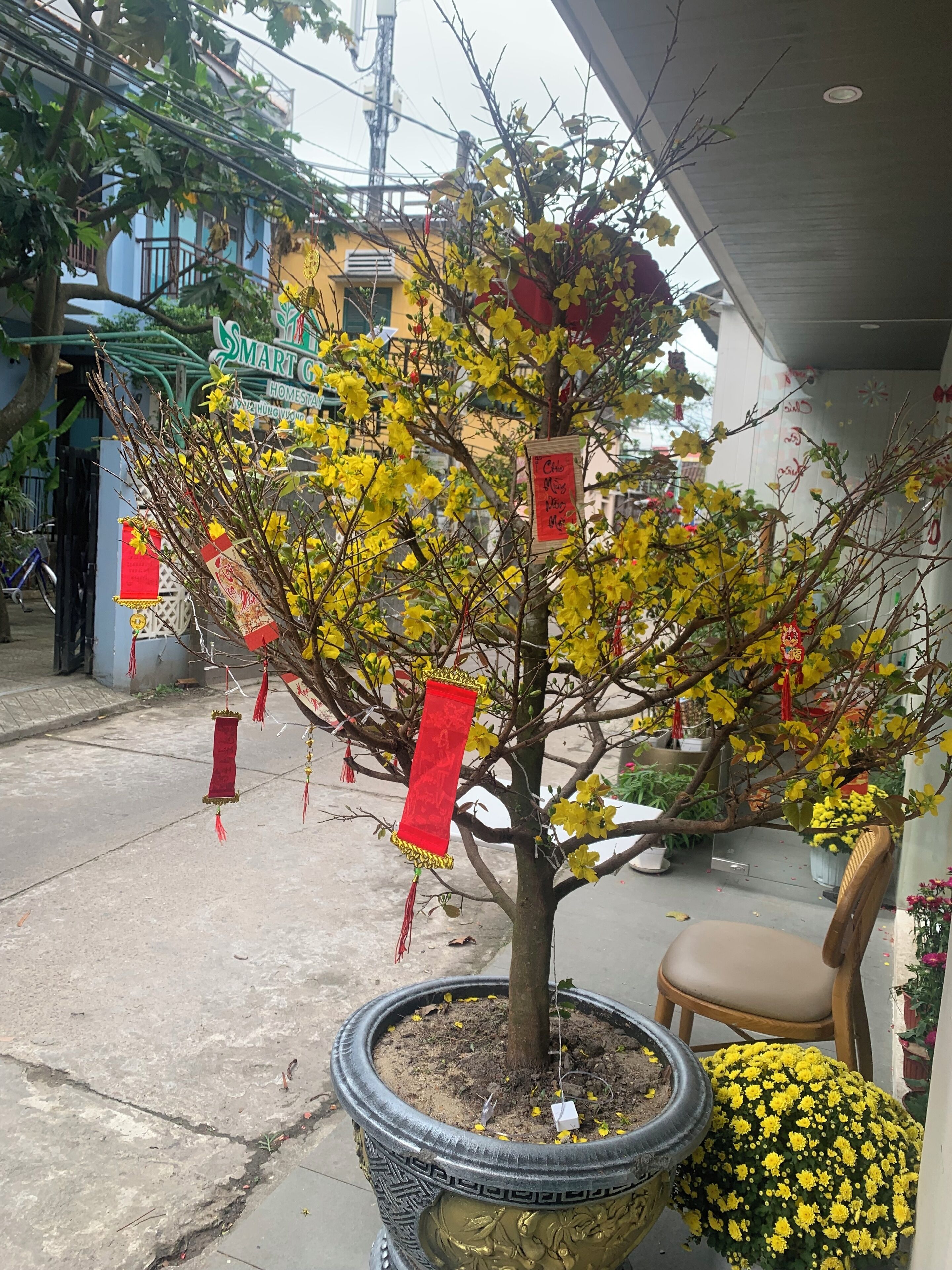 Foto - Central Boutique Villa , in old Town