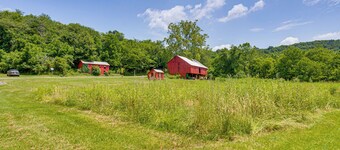 Honey Bee Farm On-Site: Susquehanna Valley Apt!