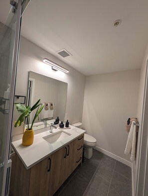 Douche, sèche-cheveux, serviettes fournies, savon