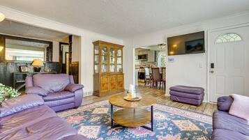 Televisión, chimenea, libros