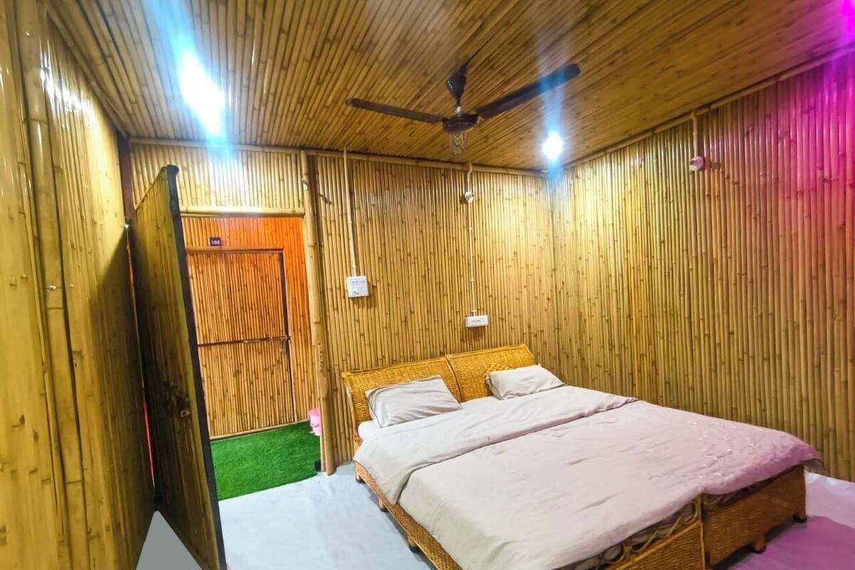 Une pièce avec un lit, un ventilateur de plafond et une moquette verte.