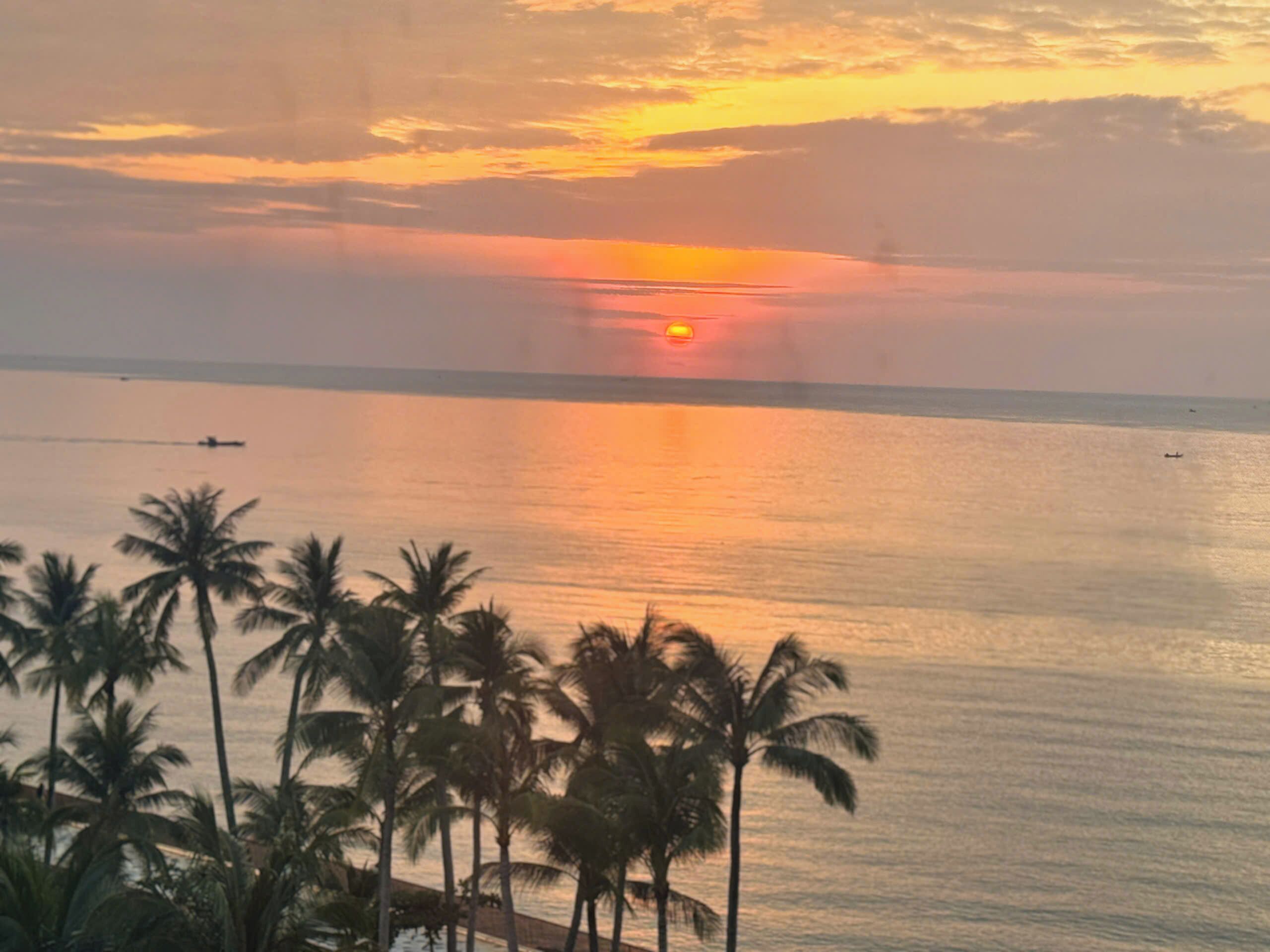 A sunset over a calm sea with palm trees in the foreground.
