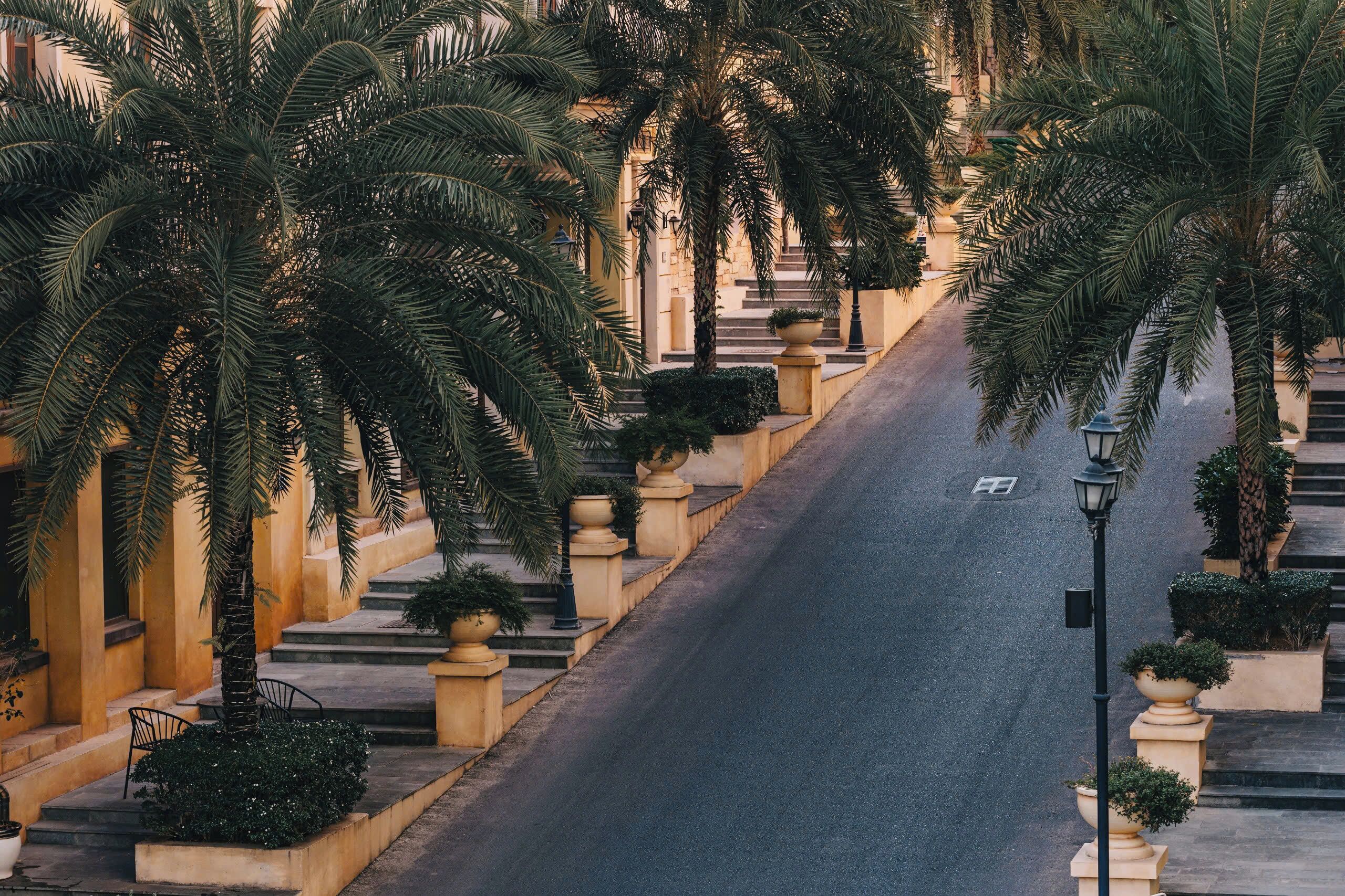 Une rue bordée de palmiers et un immeuble doté d’un escalier.