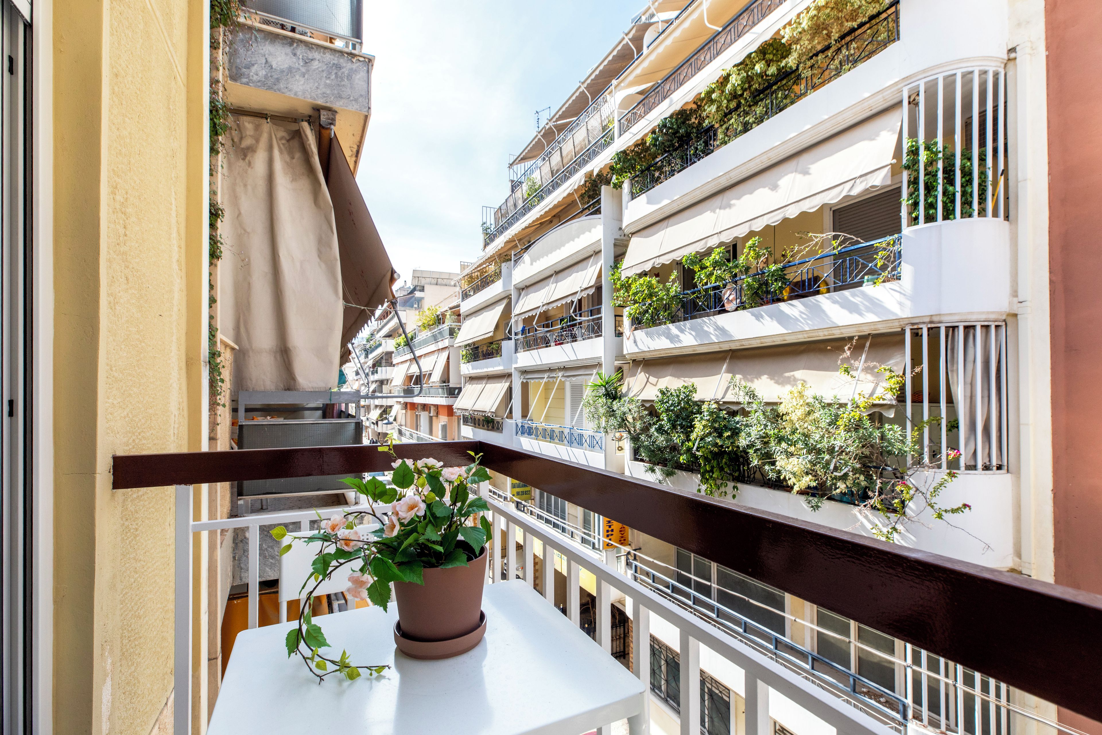 A balcony with a potted plant, white railing, and a view of multi-story buildings with balconies and plants.