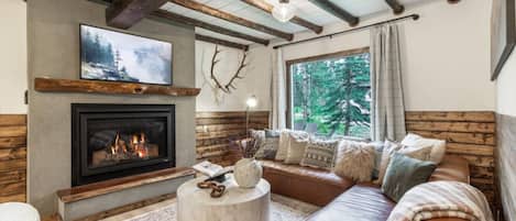 Smart TV, chimenea, libros