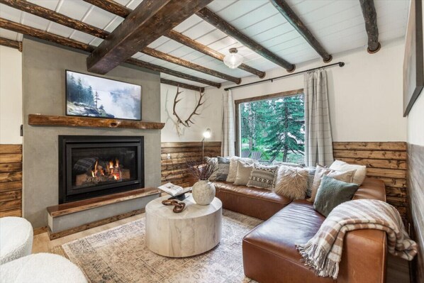 Smart TV, fireplace, books