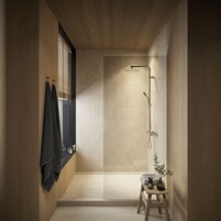 Shower, hair dryer, slippers, towels