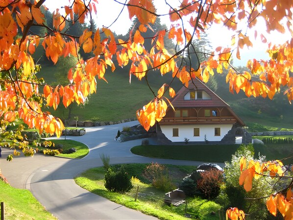 Property grounds - Apartment '2' with Mountain View, Shared Terrace and Wi-Fi (Triberg im Schwarzwald)