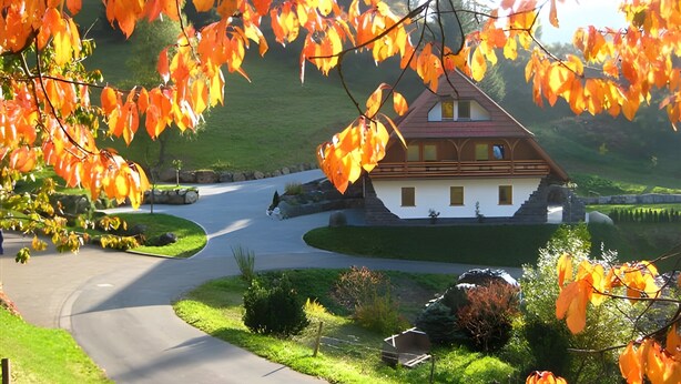 Une maison avec un toit en pente, entourée d’une allée et de verdure.