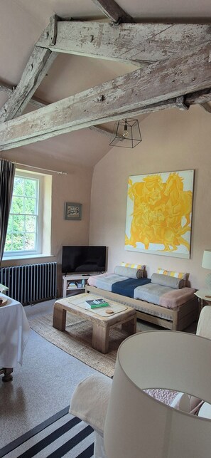 تلفزيون ذكي