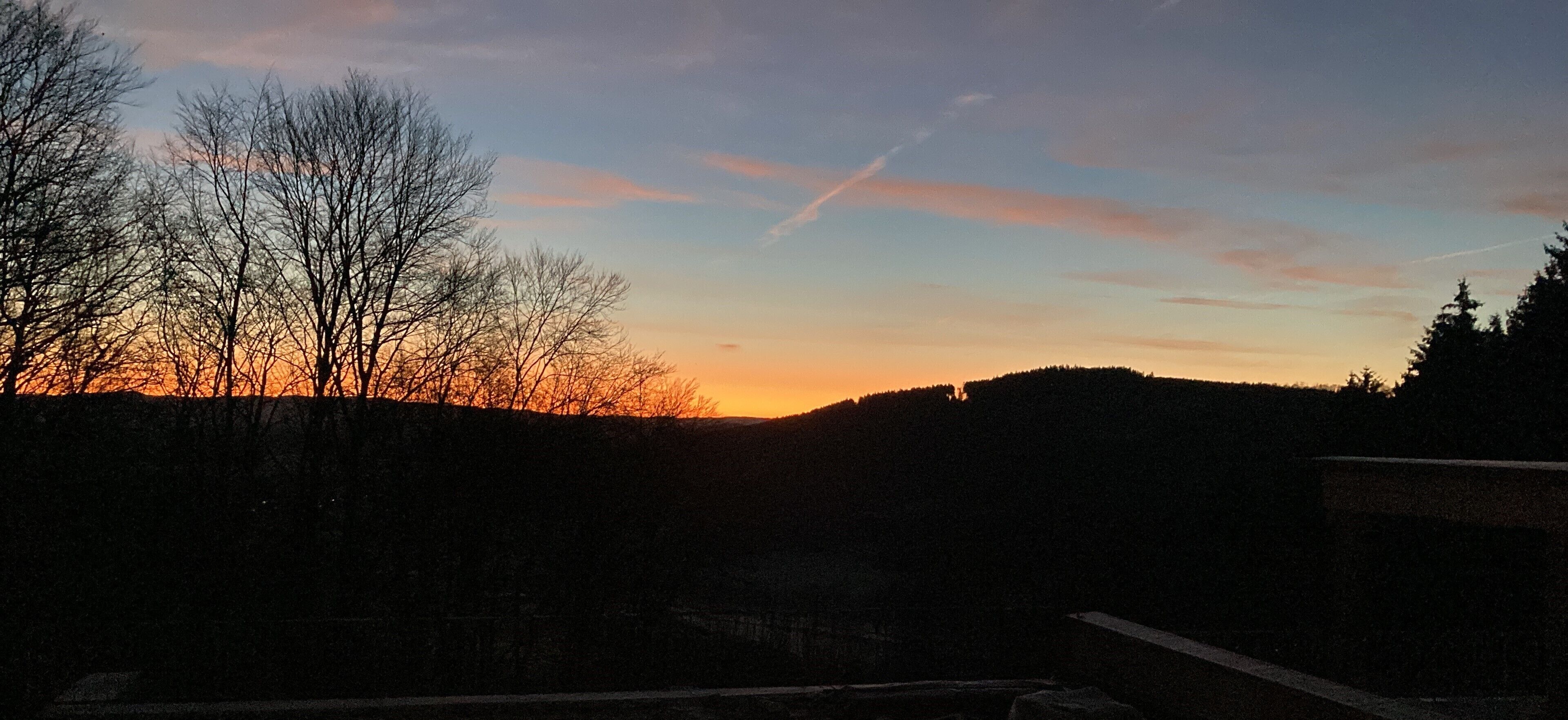 Een zonsondergang met kale bomen en een heuvel op de voorgrond.
