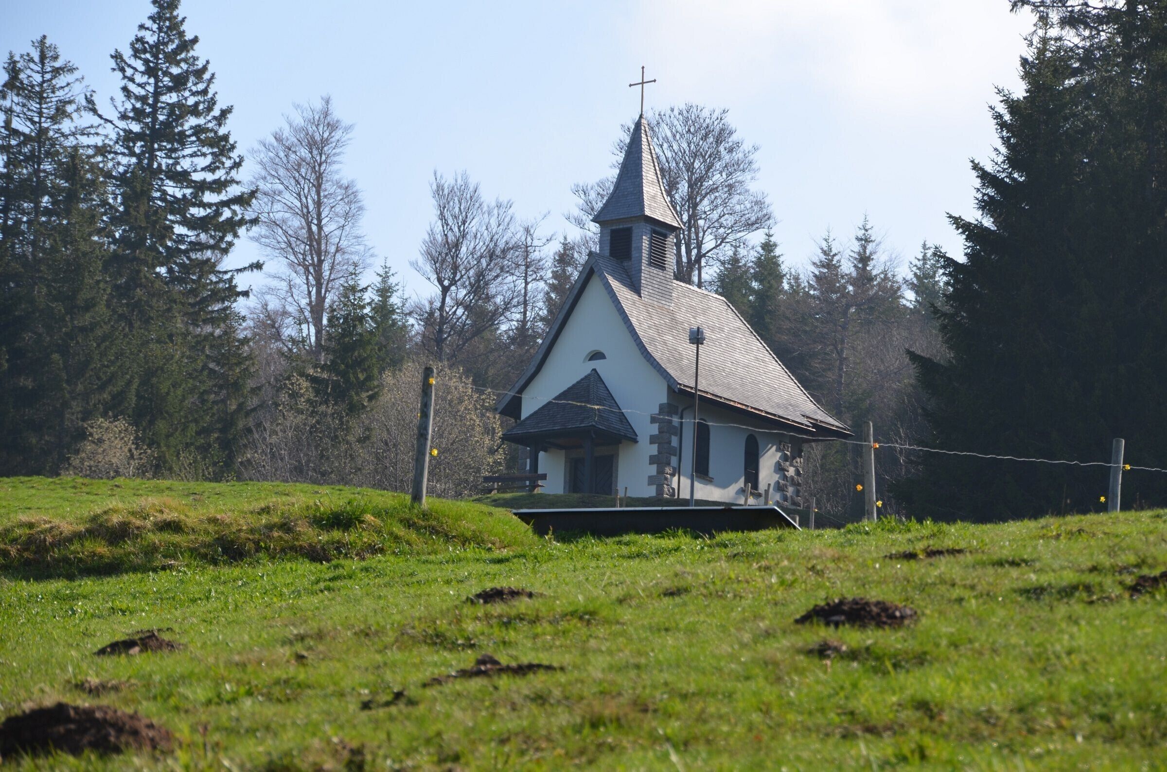 Eine kleine Kirche mit Kirchturm und Kreuz, umgeben von Bäumen und Gras.