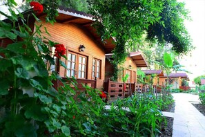 Una cabana de fusta amb un camí que hi condueix, envoltada de vegetació i plantes.