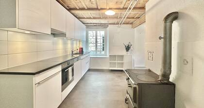 Business Apartment Oberbipp