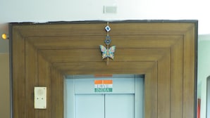 An elevator with a wooden frame and a butterfly decoration. There are two potted plants on either side. - Hotel Shri Bhaskar (Bareilly)