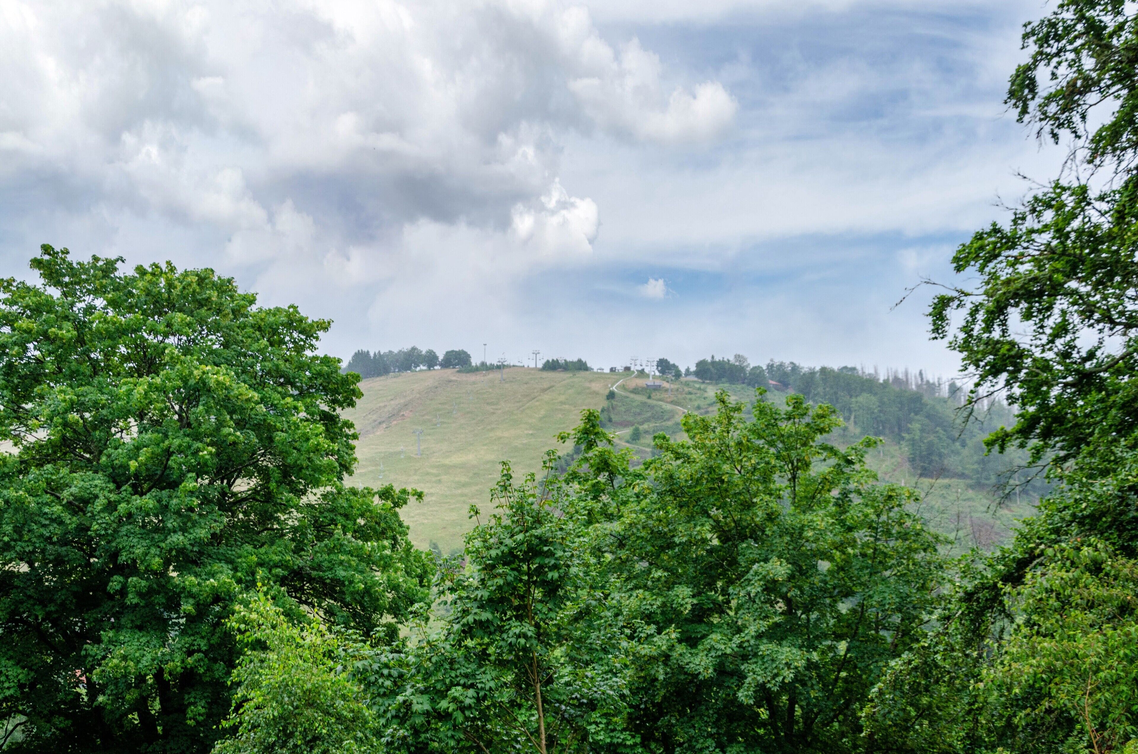 A hilly landscape with dense green trees and a cloudy sky.